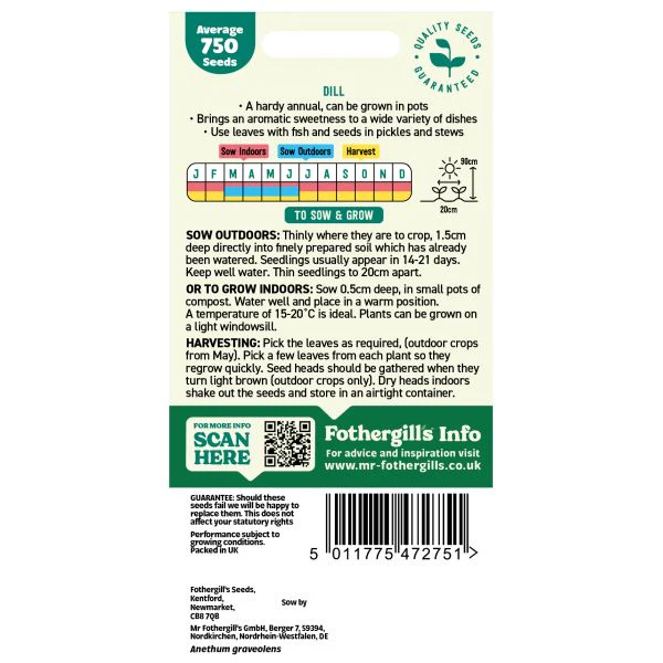 Dill Seeds - Image 2