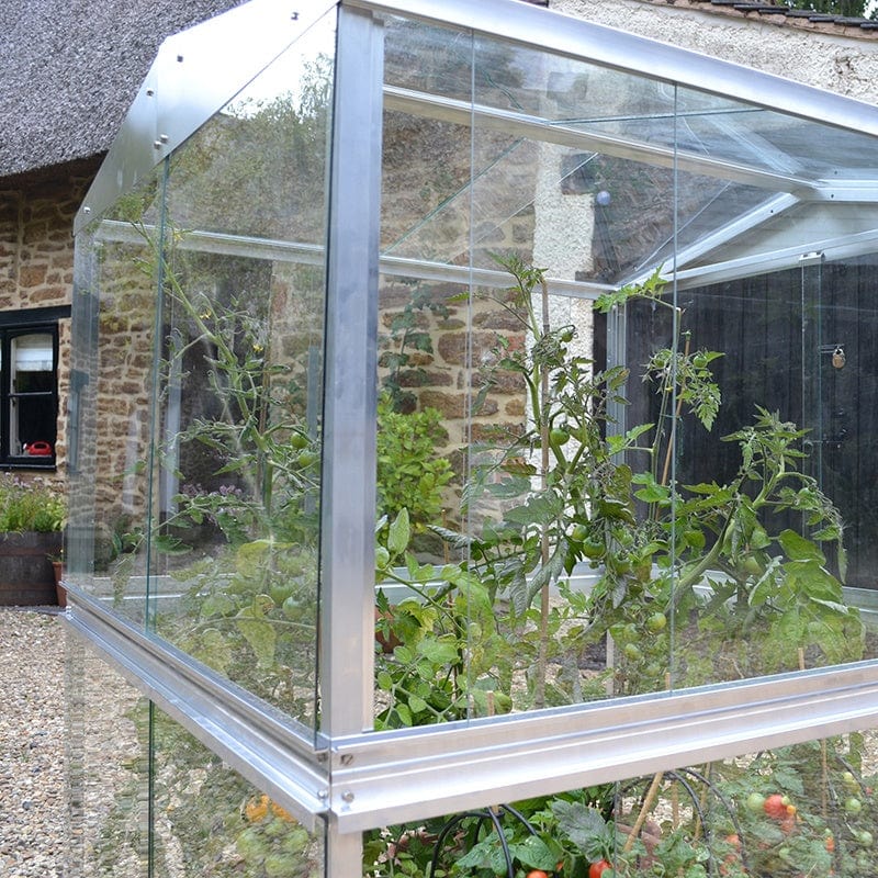 Double Tomato House - Image 2