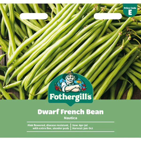 Dwarf French Bean Nautica