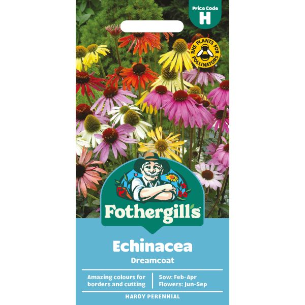 Echinacea Dreamcoat Seeds