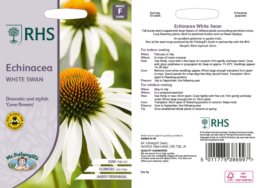 Echinacea White Swan Flower Seeds - Image 2