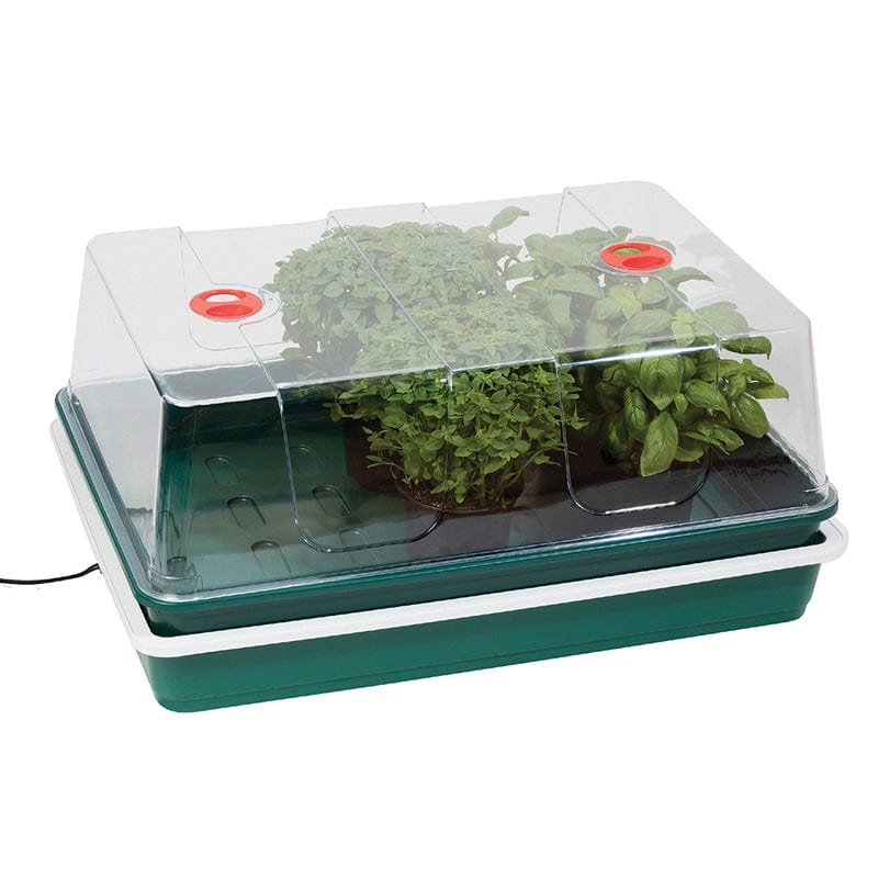 Extra Large High Dome Electric Propagator 24W - Image 2