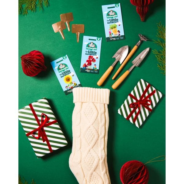 Gifts for the kids
