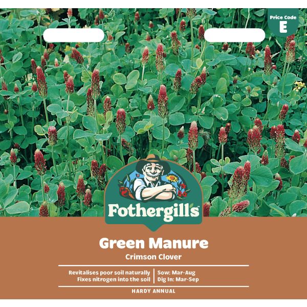 Green Manure Crimson Clover