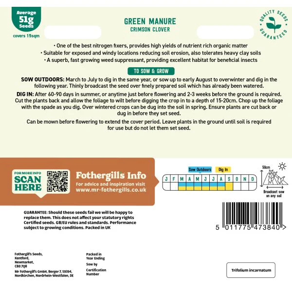 Green Manure Crimson Clover - Image 2