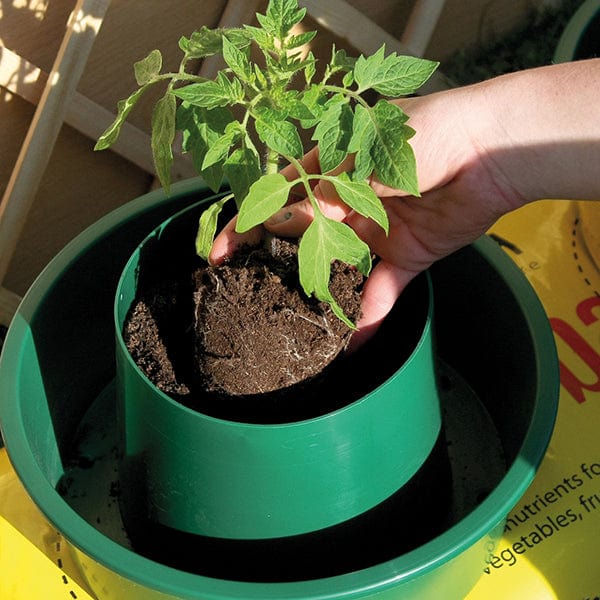 Growpot Tomato Growing Pot x 6 - Image 3