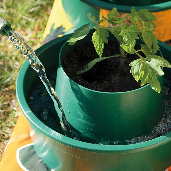 Growpot Tomato Growing Pot x 6 - Image 4