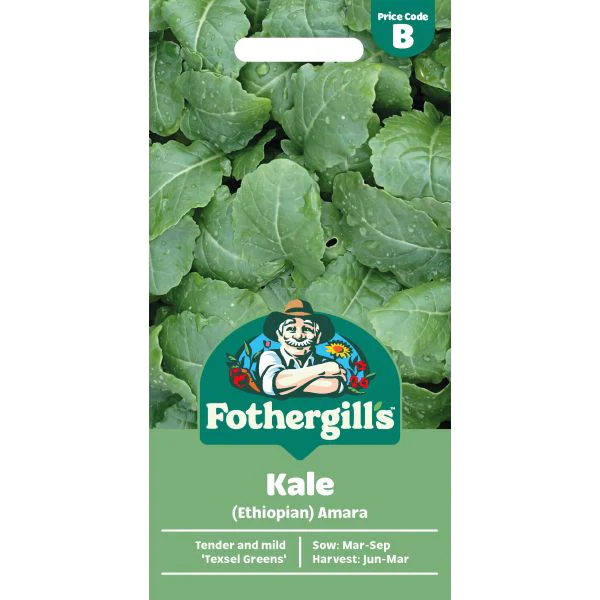Kale (Ethiopian) Amara Vegetable Seeds
