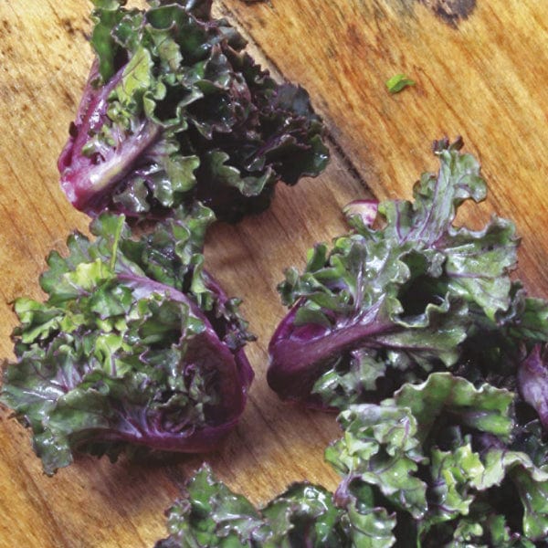 Kalettes Mixed F1 - Image 3