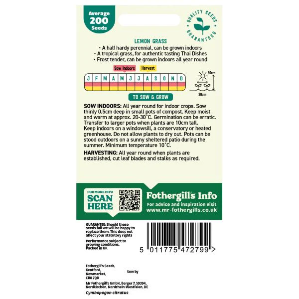 Lemon Grass Seeds - Image 2