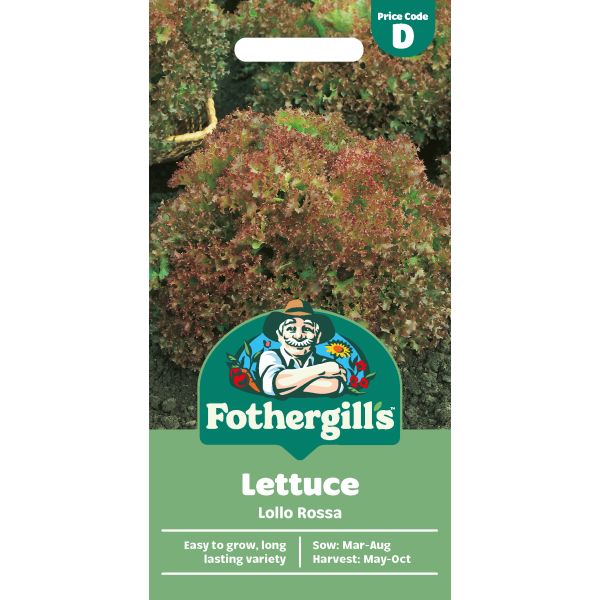 Lettuce Lollo Rossa Seeds