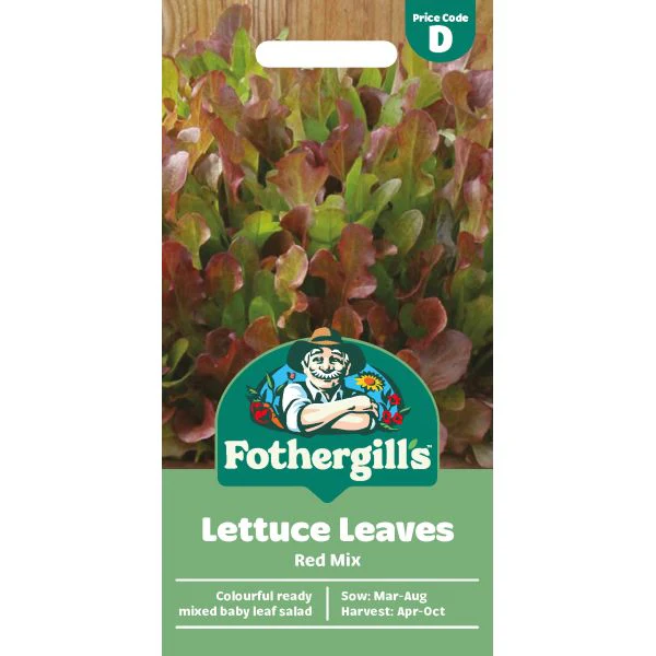 Lettuce Mixed Red Salad Leaves Seeds