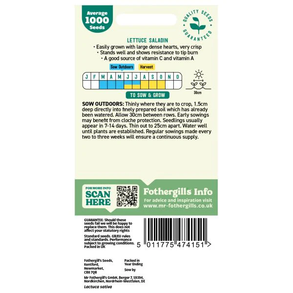 Lettuce Saladin Seeds - Image 2
