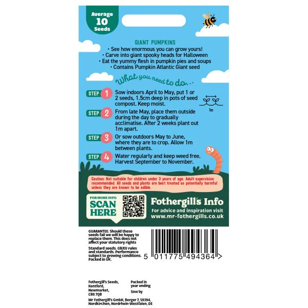 Little Gardeners Giant Pumpkins Seeds - Image 2