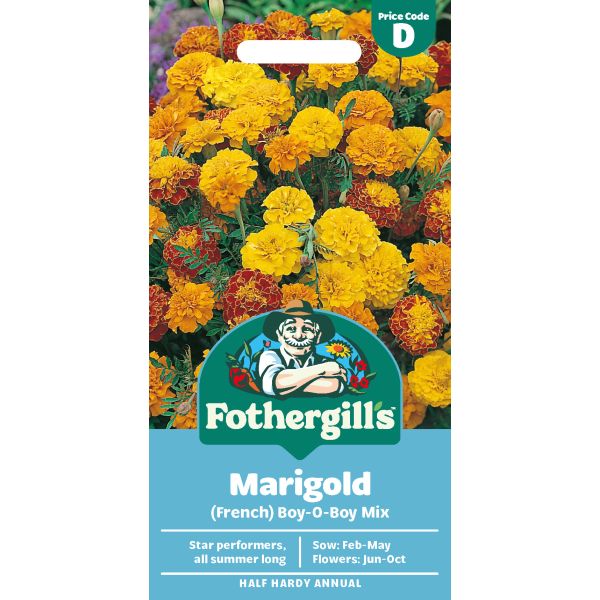 Marigold (French) Boy-O-Boy Mixed Seeds