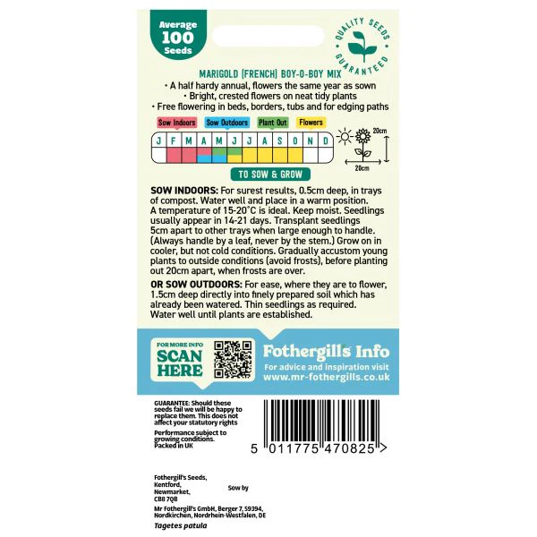 Marigold (French) Boy-O-Boy Mixed Seeds - Image 2