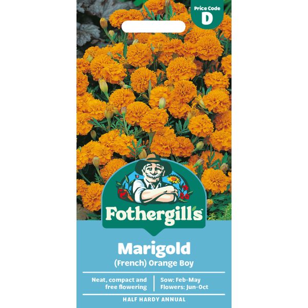 Marigold (French) Orange Boy Seeds