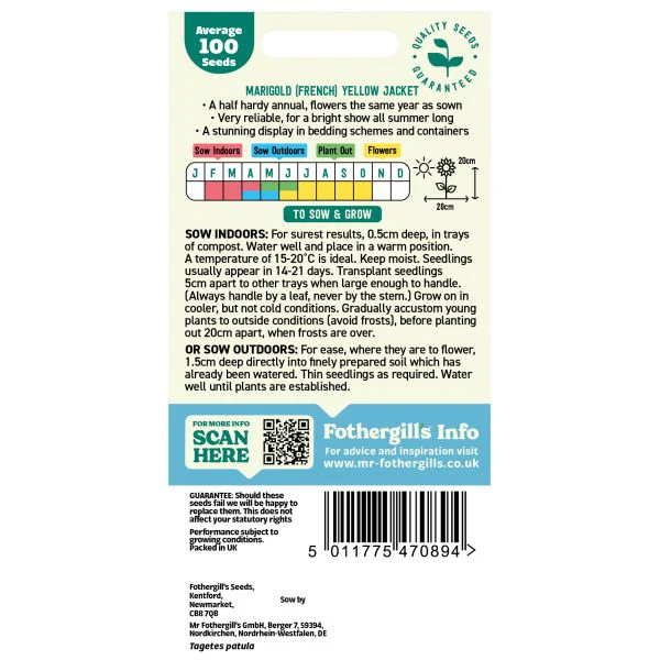 Marigold (French) Yellow Jacket Seeds - Image 2
