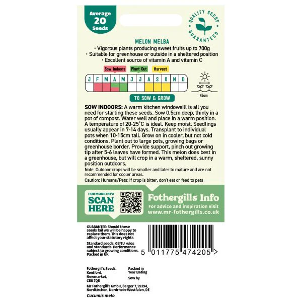 Melon Melba Seeds - Image 2