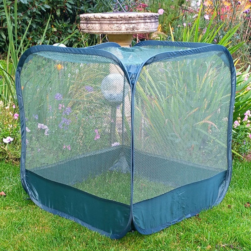 Mini Pop-Up Net Cloche - Image 3