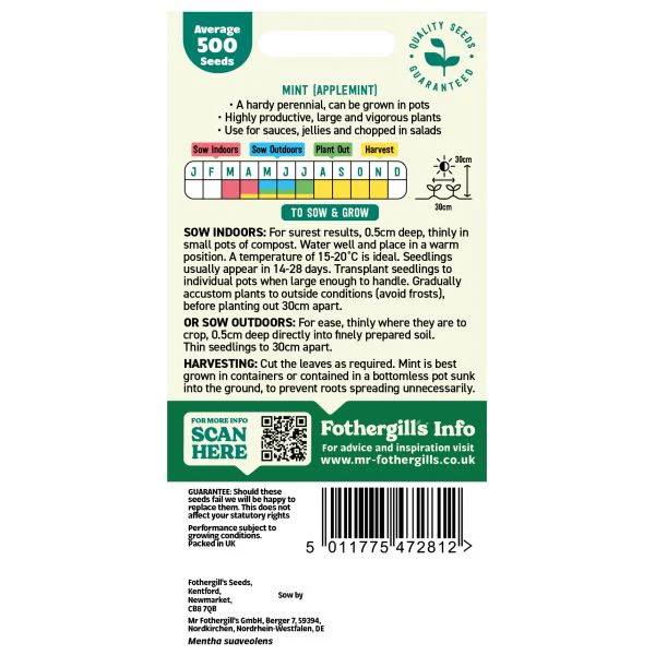 Mint Applemint Herb Seeds - Image 2