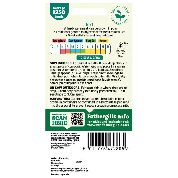 Mint Seeds - Image 2