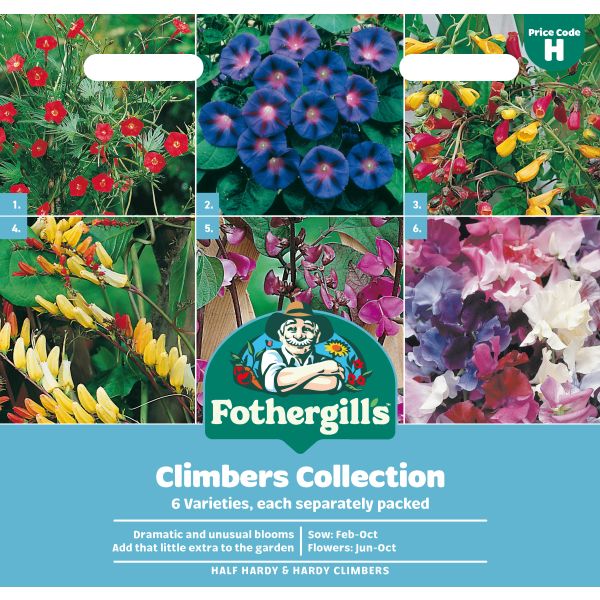 Mixed Climber Seed Collection