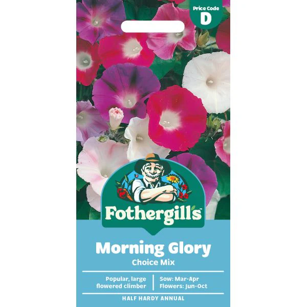 Morning Glory Choice Mixed