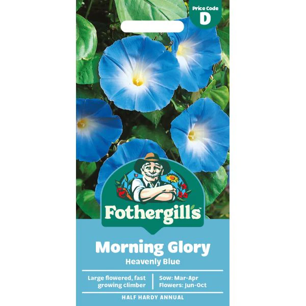 Morning Glory Heavenly Blue Seeds