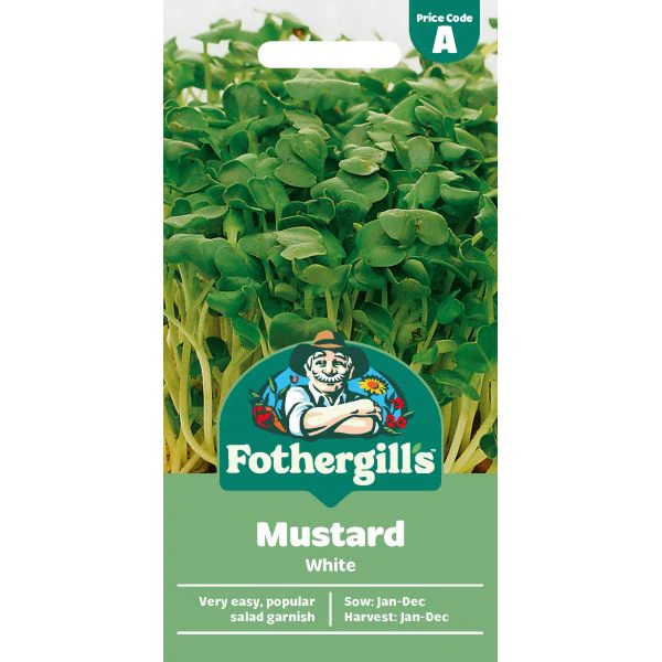 Mustard White Seeds