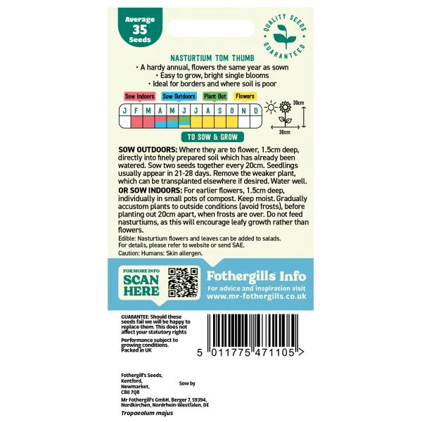 Nasturtium Tom Thumb Seeds - Image 2