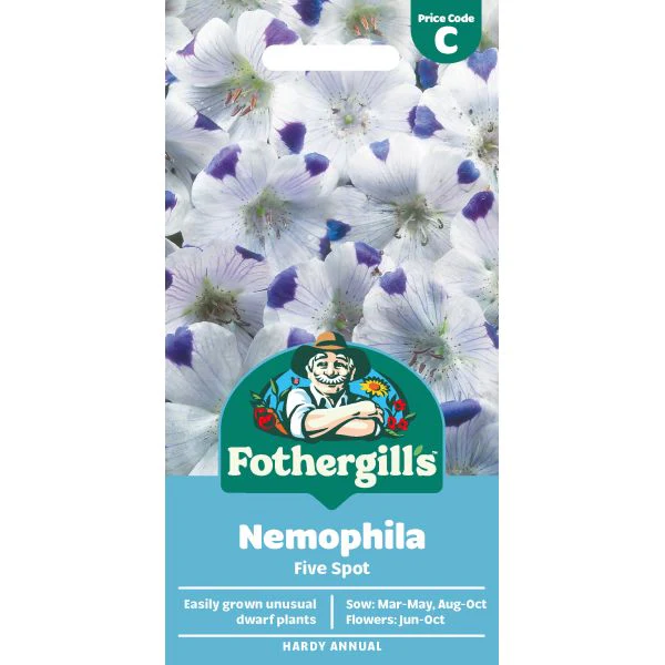 Nemophila Five Spot