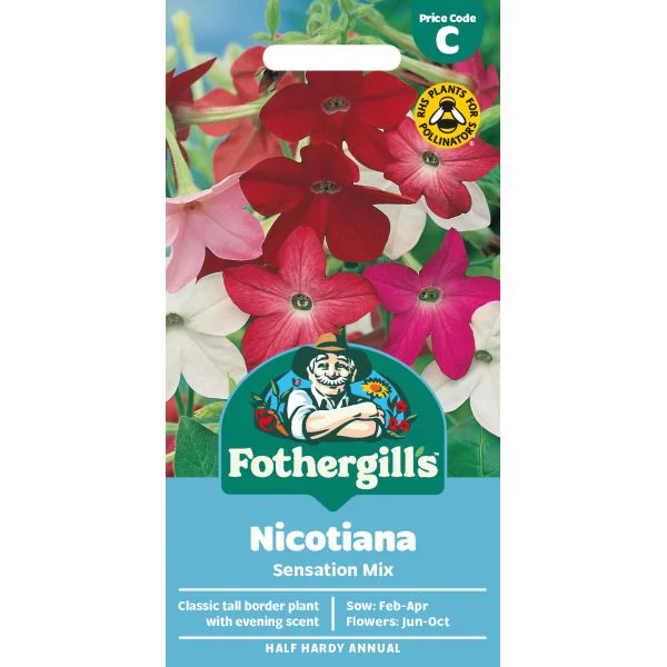 Nicotiana Sensation Mixed Seeds