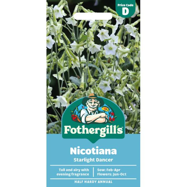 Nicotiana Starlight Dancer Flower Seeds