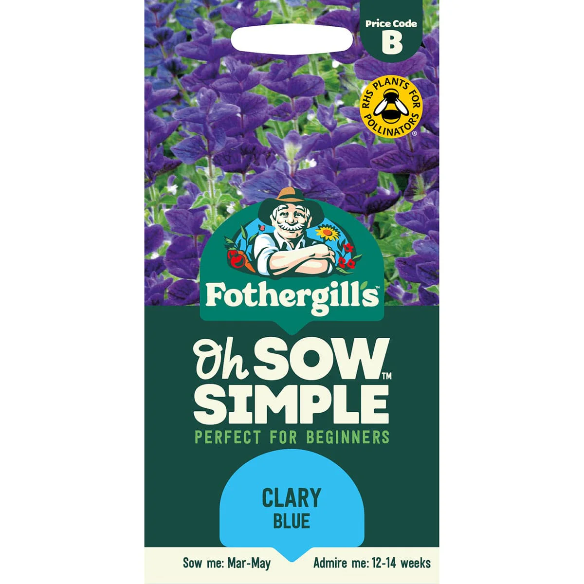 Oh Sow Simple - CLARY Blue Flower Seeds