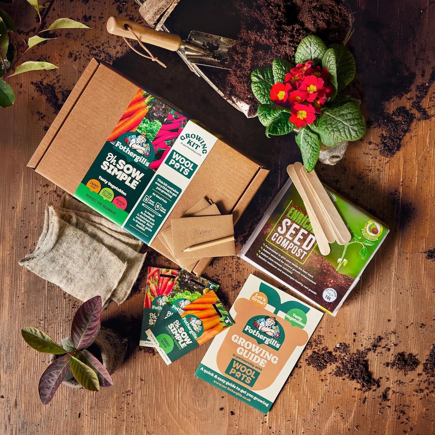 Oh Sow Simple Flowers Growing Kit - Image 2