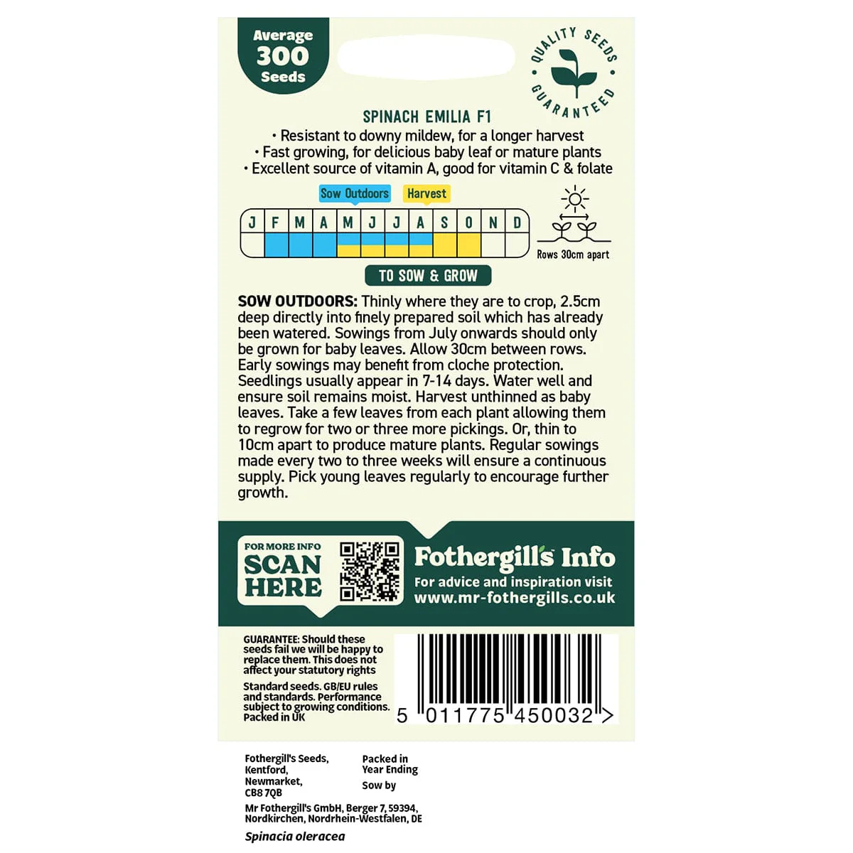 Oh Sow Simple - Spinach Seeds - Image 2