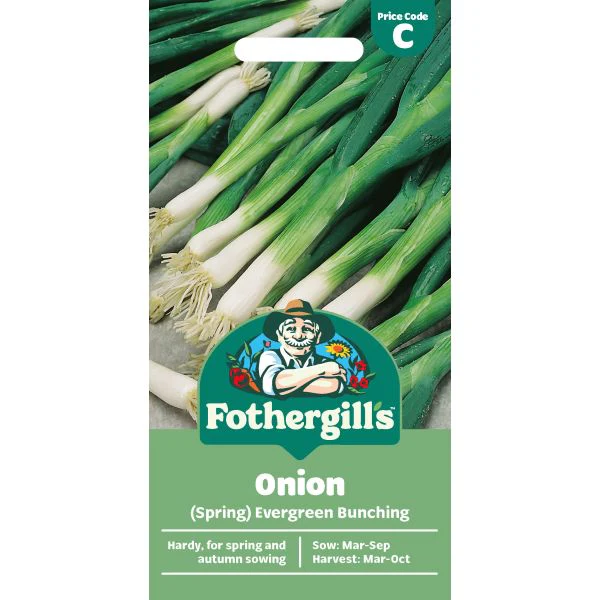 Onion (Spring) Evergreen Bunching Seeds