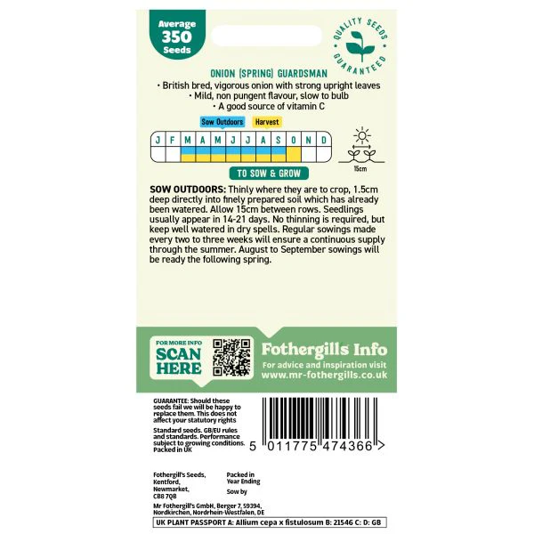 Onion (Spring) Guardsman Seeds - Image 2