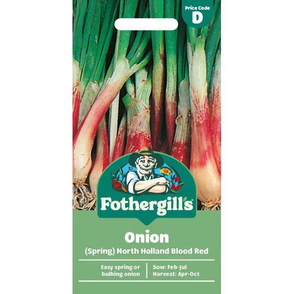 Onion (Spring) North Holland Blood Red Seeds