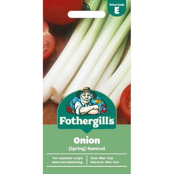 Onion (Spring) Ramrod Seeds