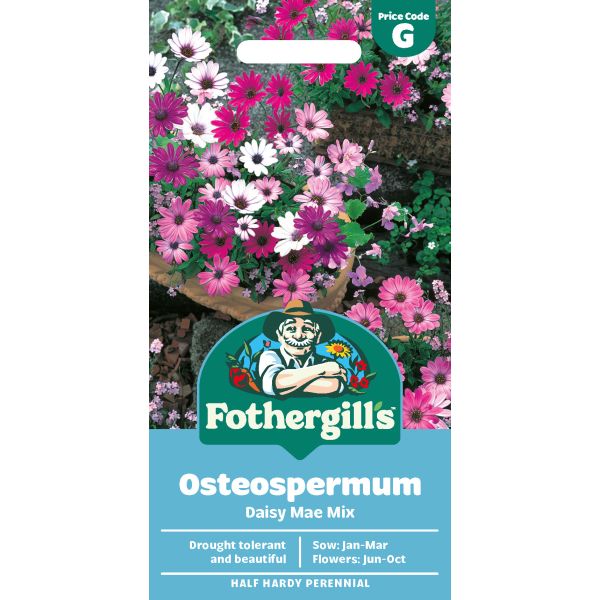 Osteospermum Daisy Mae Mixed Seeds