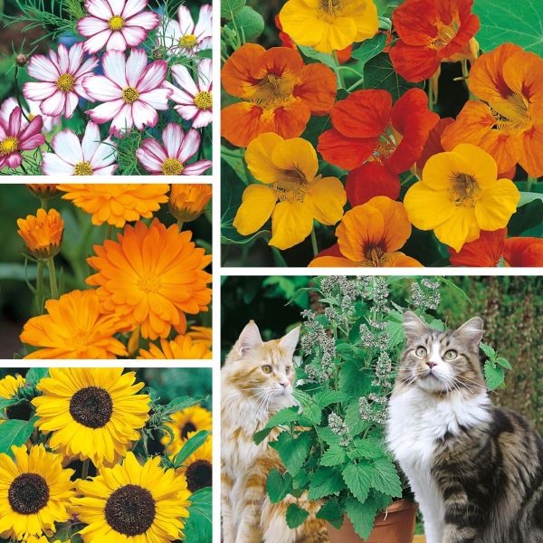 Outdoor Bundle