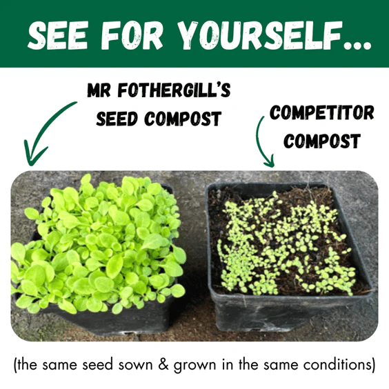 Peat Free Seed Compost 3 X 10 ltr - Image 2