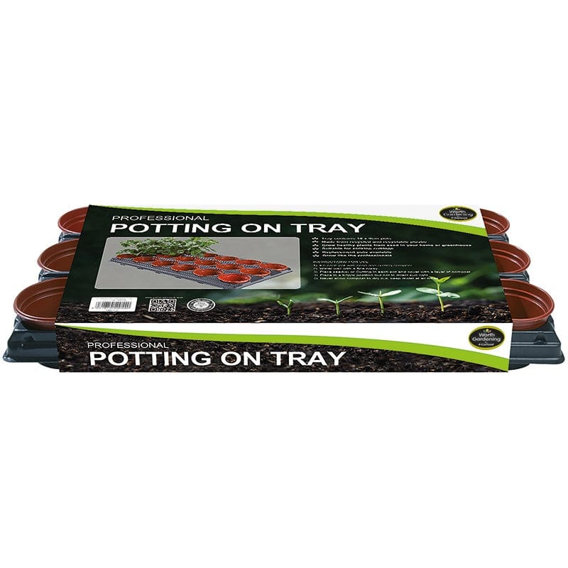 Potting On Tray (18x9cm Pots) with Replacement pots - Image 4