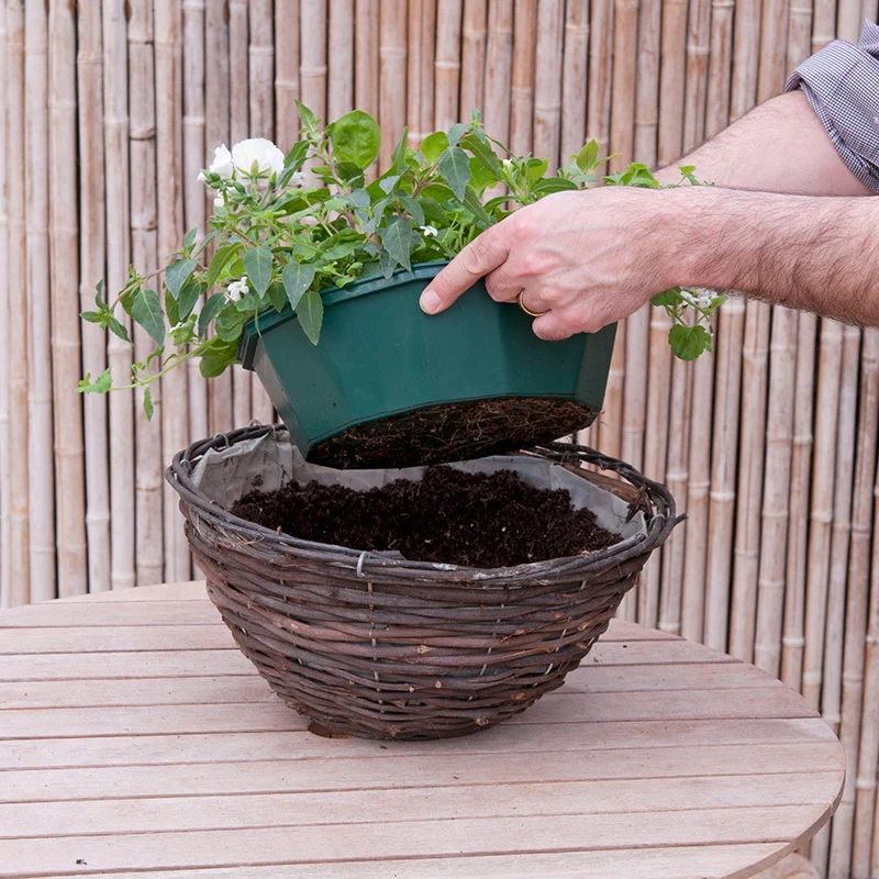 Speedplanter Primary Fun Container Mix Flower Plants - Image 3