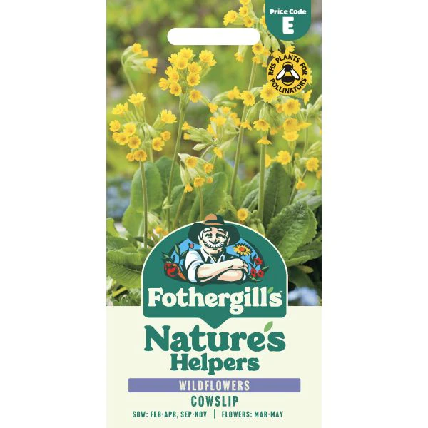 Nature's Helpers Primula Cowslip Seeds
