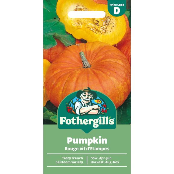 Pumpkin Rouge vif d'Etampes Seeds