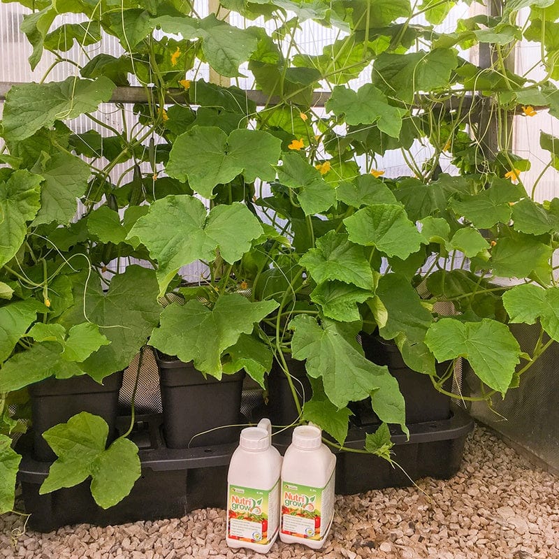 Quadgrow Pots Watering System (8 Pots)