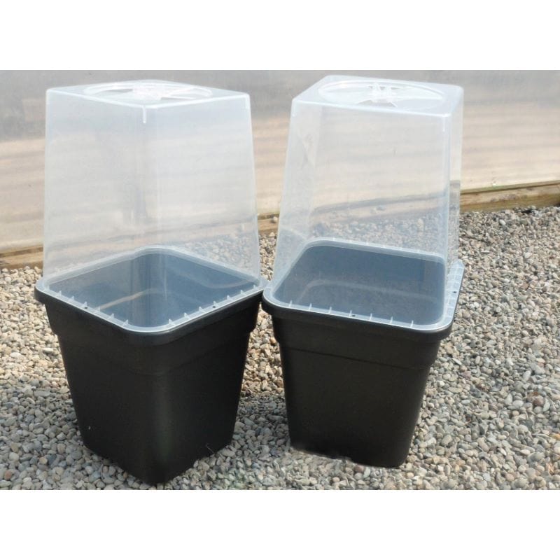 Quadgrow Watering System Clear Propagation Lids - Image 2